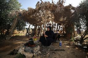 Daily Life In Gaza, Palestine