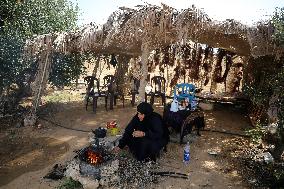 Daily Life In Gaza, Palestine