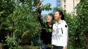 CHINA-BEIJING-TEENAGER-TREE PLANTING (CN)