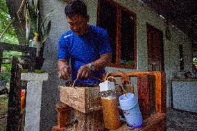 Klanceng Honey Cultivation