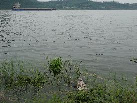 Water Levels Rise in The Yangtze River in Yichang