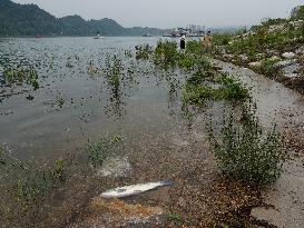 Water Levels Rise in The Yangtze River in Yichang