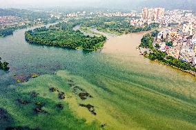 The Clear And Turbidness View In Guilin