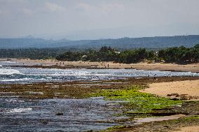 Karang Papak Beach In Garut West Java Indonesia