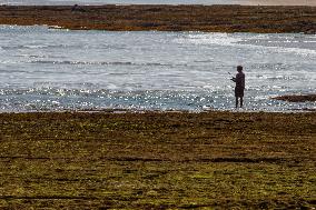 Karang Papak Beach In Garut West Java Indonesia