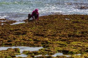 Karang Papak Beach In Garut West Java Indonesia