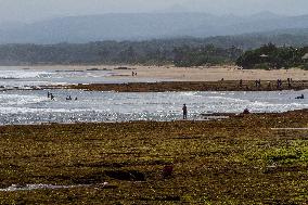 Karang Papak Beach In Garut West Java Indonesia