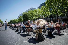 The World's Largest Dictation On The Champs Elysees - Paris