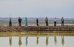 Beidachi Salt Lake