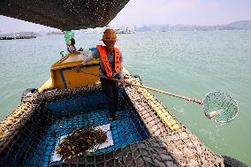 CHINA-FUJIAN-XIAMEN-OCEAN SANITATION STATION (CN)