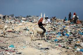 Environment Day In Gaza, Palestine