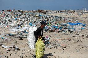 Environment Day In Gaza, Palestine