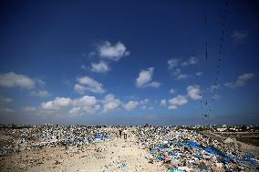 Environment Day In Gaza, Palestine