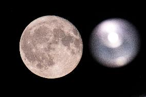 Strawberry Full Moon Rises Over The Netherlands