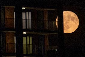 Strawberry Full Moon Rises Over The Netherlands