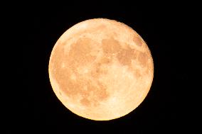 Strawberry Full Moon Rises Over The Netherlands