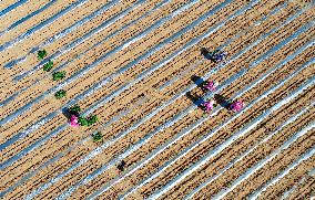 China Agriculture