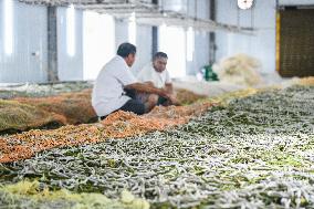 Silkworm Industry