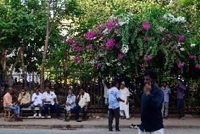 Daily Life In Mumbai