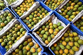 Mango Fruits Market In Dhaka, Bangladesh