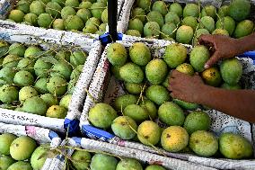 Mango Fruits Market In Dhaka, Bangladesh