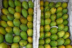 Mango Fruits Market In Dhaka, Bangladesh