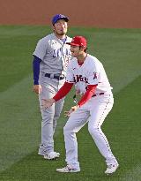 Baseball: Cubs vs. Angels