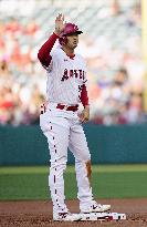 Baseball: Cubs vs. Angels