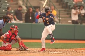 Greenville Drive v Brooklyn Cyclones