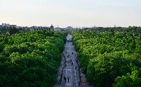 Central Axis of Beijing