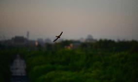 Central Axis of Beijing