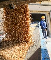 China Agricultural Harvest