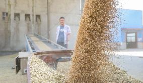 China Agricultural Harvest