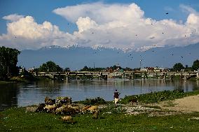 Daily Life In Kashmir