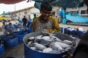 Fish Industry In Indonesia