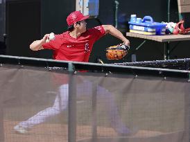 Baseball: Angels player Ohtani