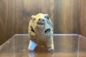 CHINA-JIANGSU-6000-YEAR-OLD-POTTERY PIG (CN)