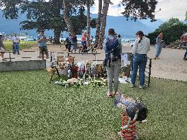 Playground Knife Attack - Annecy