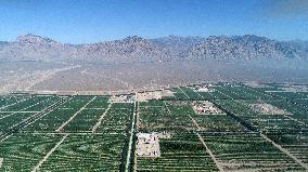 CHINA-NINGXIA-WINE INDUSTRY-AERIAL VIEW (CN)