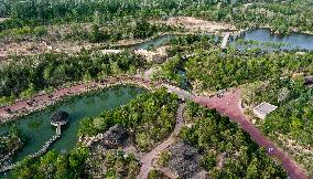 CHINA-NINGXIA-WINE INDUSTRY-AERIAL VIEW (CN)