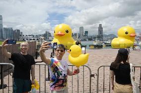 Giant inflatable ducks at Hong Kong harbor
