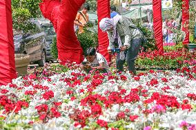 EGYPT-CAIRO-SPRING FLOWERS EXHIBITION