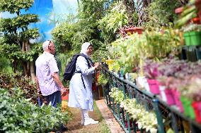 EGYPT-CAIRO-SPRING FLOWERS EXHIBITION