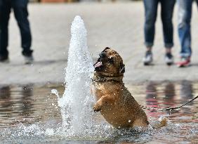 GERMANY-STRALSUND-VIEW