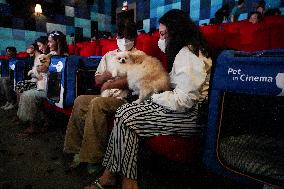 Pet Friendly Movie Theatre In Thailand.