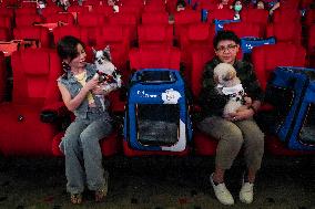 Pet Friendly Movie Theatre In Thailand.