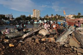 Daily Life In Mumbai