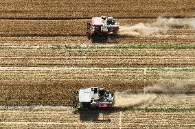 #CHINA-WHEAT-HARVEST (CN)