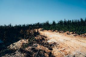 Wildfires Burning - Quebec