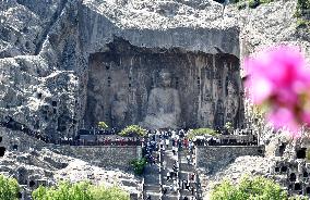 Tourists Visit The Longmen Grottoes in Luoyang